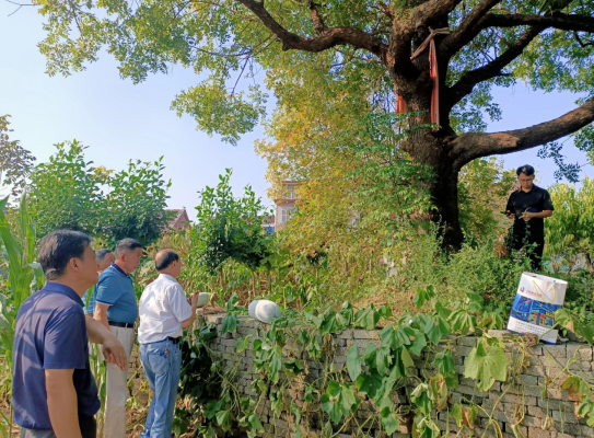 /uploads/image/2021/09/13/b935c0cc199a8593c83d80d8cab69090.png 微信截图_20210913103050.png