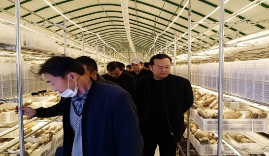 /uploads/image/2021/11/08/bae1e568022fc0b7f40ff121842e3013.png 微信截图_20211108095015.png