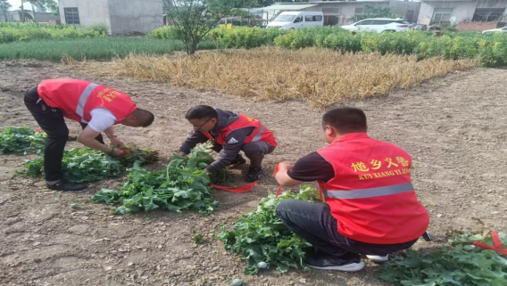 /uploads/image/2022/05/17/3a6b64243723edd8a811ca40eec3c0d6.png 微信截图_20220517201512.png