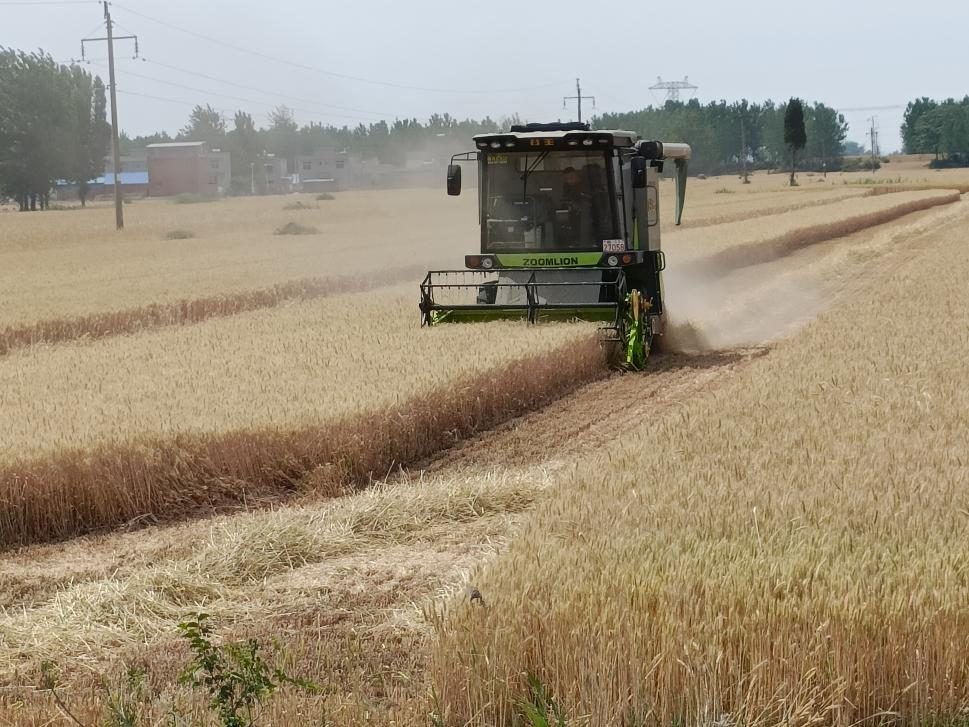 /uploads/image/2022/05/30/5b15b9382898511c588b760177999eb0.png 图片1.png