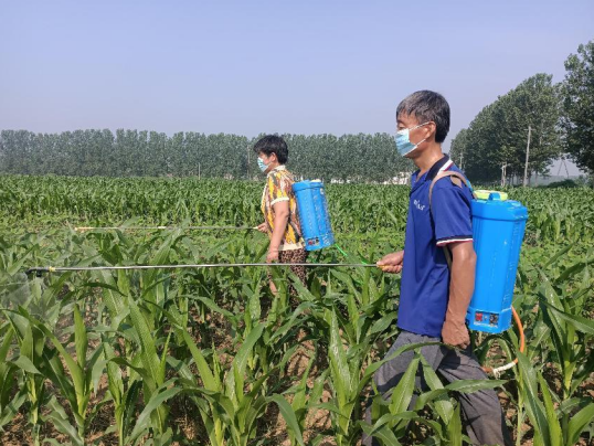 /uploads/image/2022/07/13/215dfcbf70fbe27ae673aaea7ea93a1e.png 微信截图_20220713145947.png