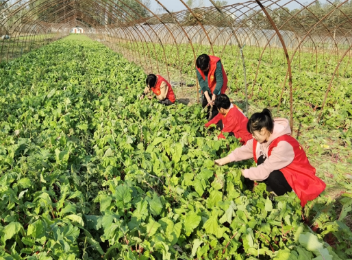 /uploads/image/2022/10/11/c4e97836899ab70e2da8a0d457f95a73.png 微信截图_20221011161333.png