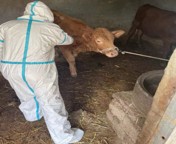 /uploads/image/2022/11/08/65da3e40baeddd6b51edd7160df26bc1.png 微信截图_20221108111918.png