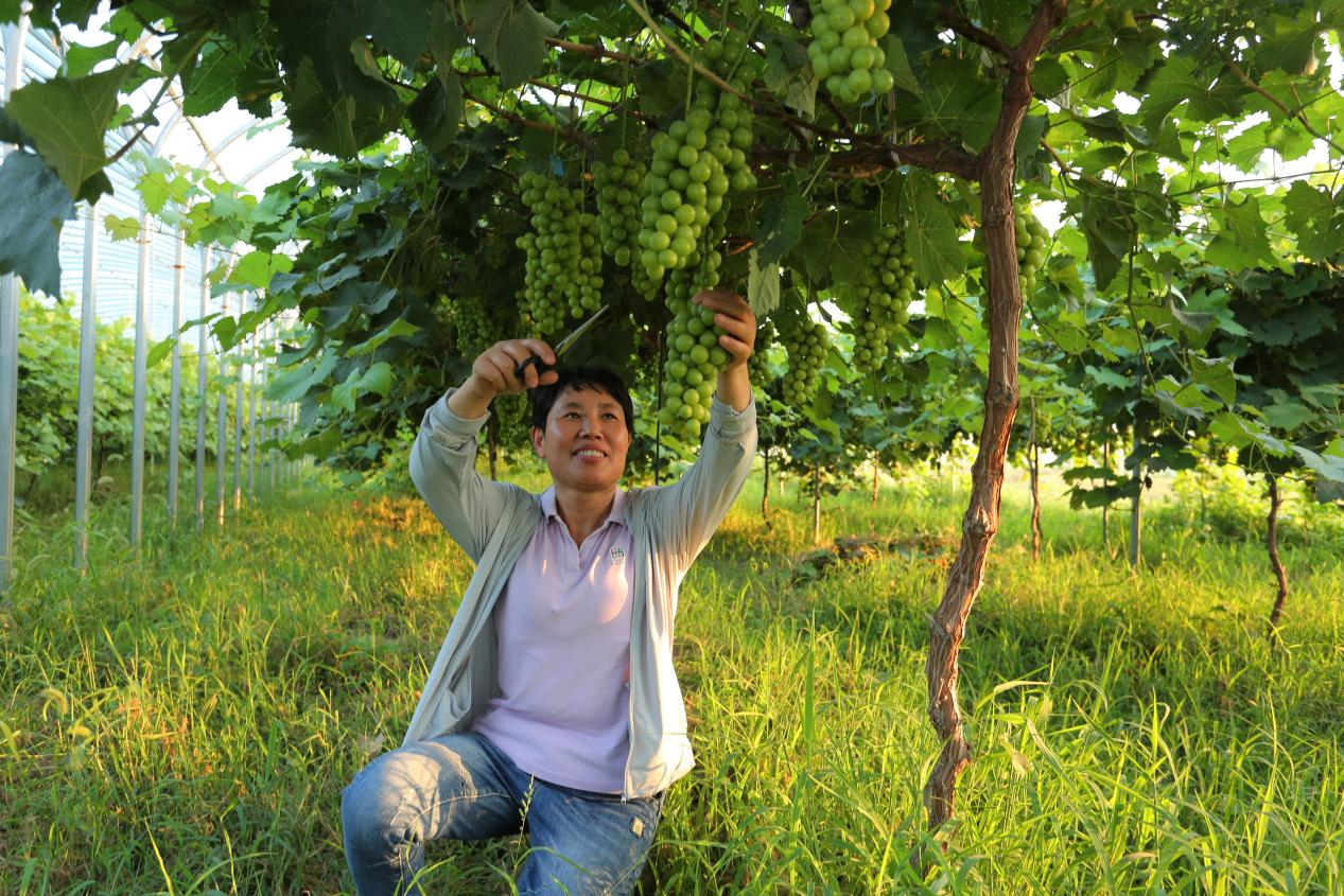 /uploads/image/2023/08/29/56c38cee22e4b2623e05bcbc09b7111b.png /uploads/image/2023/08/29/56c38cee22e4b2623e05bcbc09b7111b.png