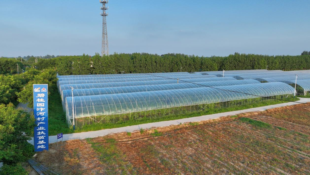 /uploads/image/2023/08/29/86b1bf09ac4a83cb51c952f380012b1b.png /uploads/image/2023/08/29/86b1bf09ac4a83cb51c952f380012b1b.png