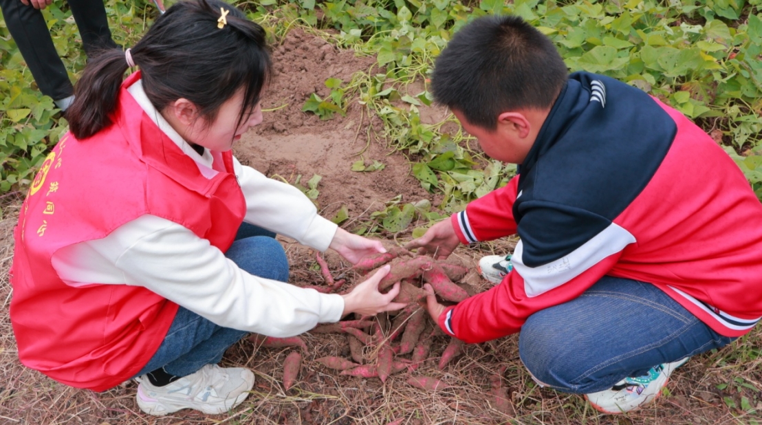 /uploads/image/2023/11/14/1d5b7d5b863d5726d5d7e1ab757fb620.png 55.png