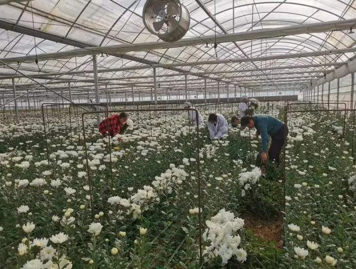 /uploads/image/2024/01/14/dcd07e7e9de2e03de3c40016173f508b.png image.png