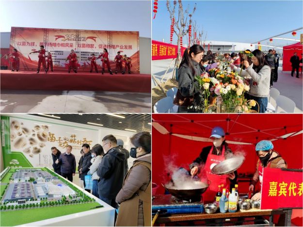 /uploads/image/2024/03/08/8cd64ee2f210a9bba1c4d0b5186273d1.png image.png