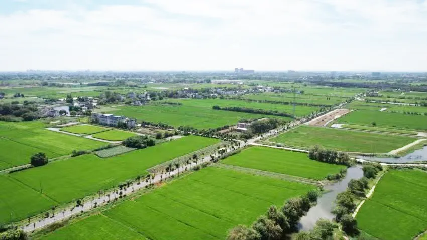 /uploads/image/2024/04/19/202ca688fbaf9beb4e9234a855065615.jpg 1713493736737.jpg