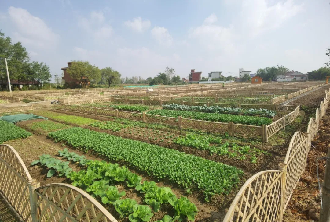 /uploads/image/2024/04/19/38cae8bcc80b6ddba998191325f203ec.jpg 1713493715975.jpg