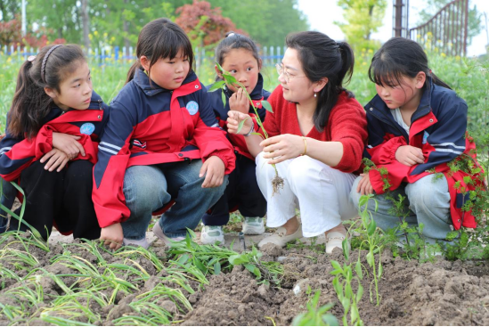 /uploads/image/2024/11/04/010815e2b71edaa57bc2520396210e6b.png image.png