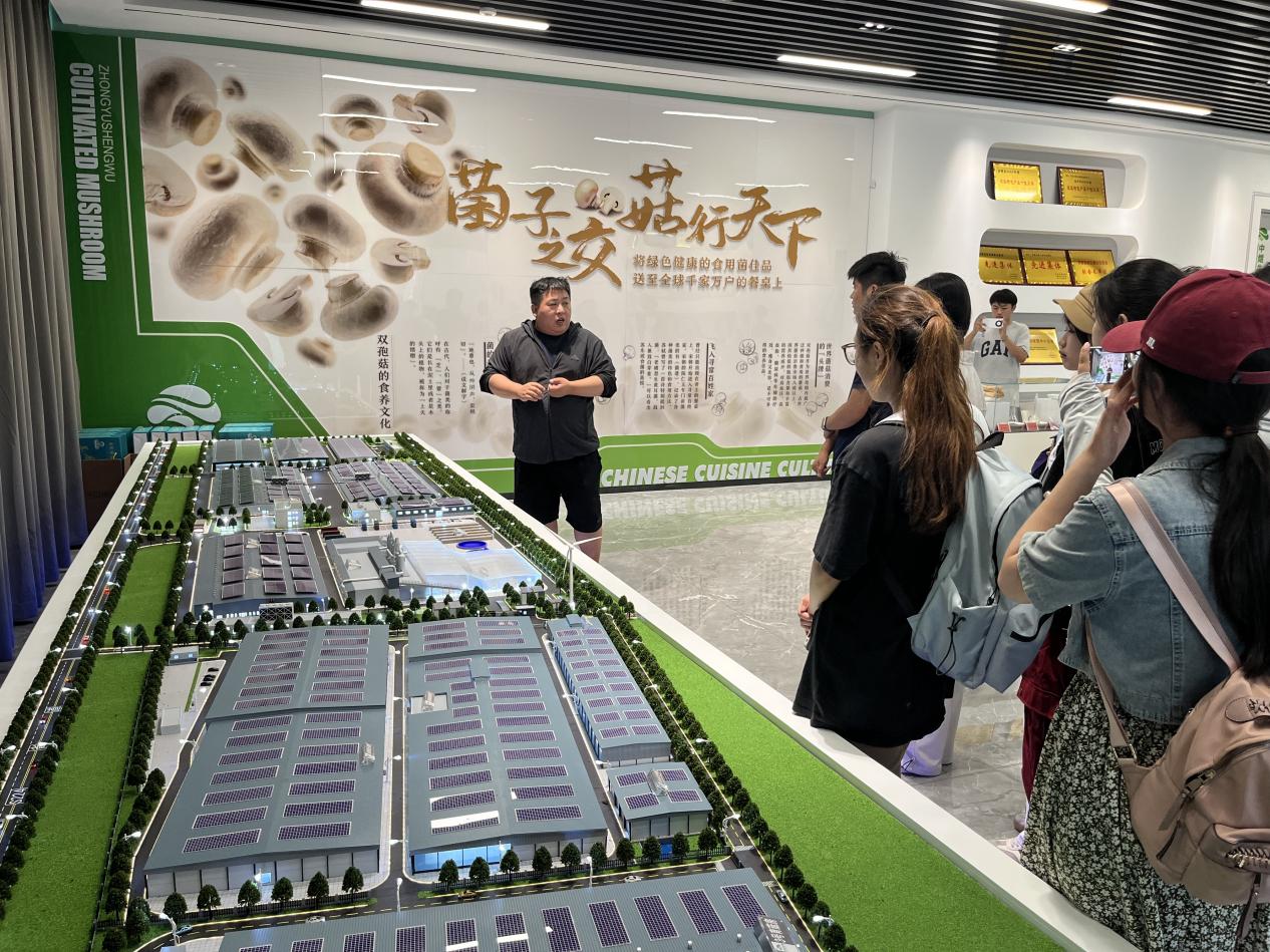 微信图片_20250710171639