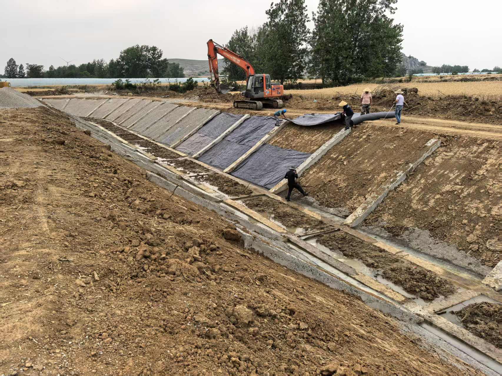 微信图片_20250703040540