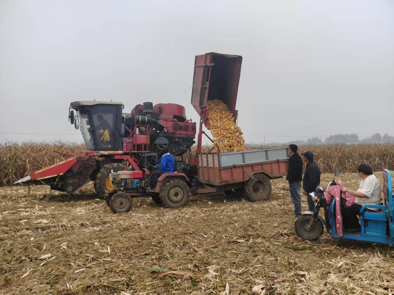 5c657a1a5db006ae087846d4372741f9