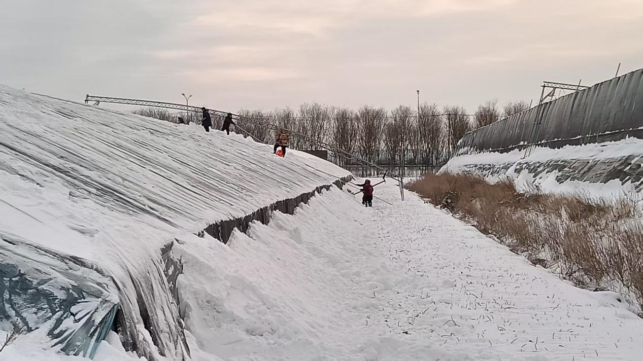 1b947b28eac962c8e4146ca714d6f576