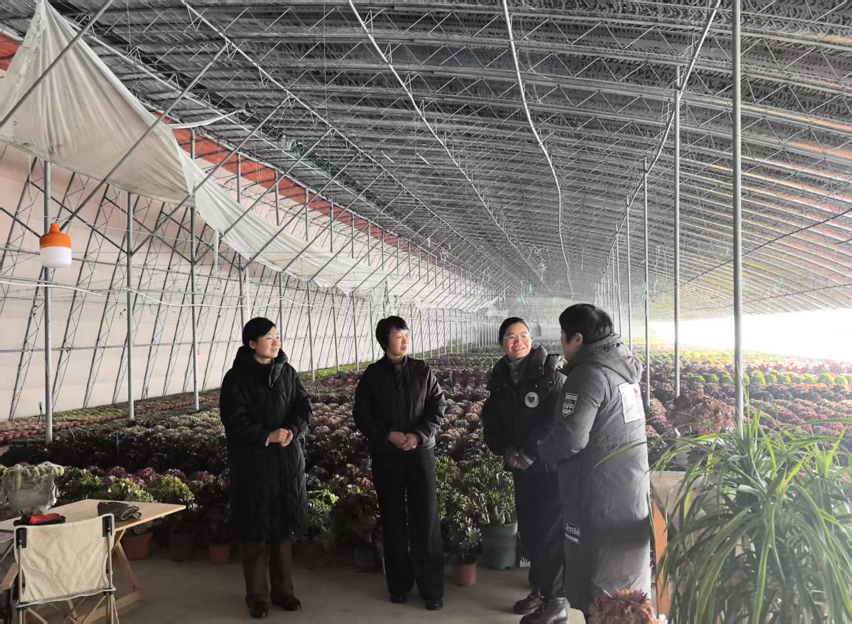 550df205659e7a1e73622351c593e764