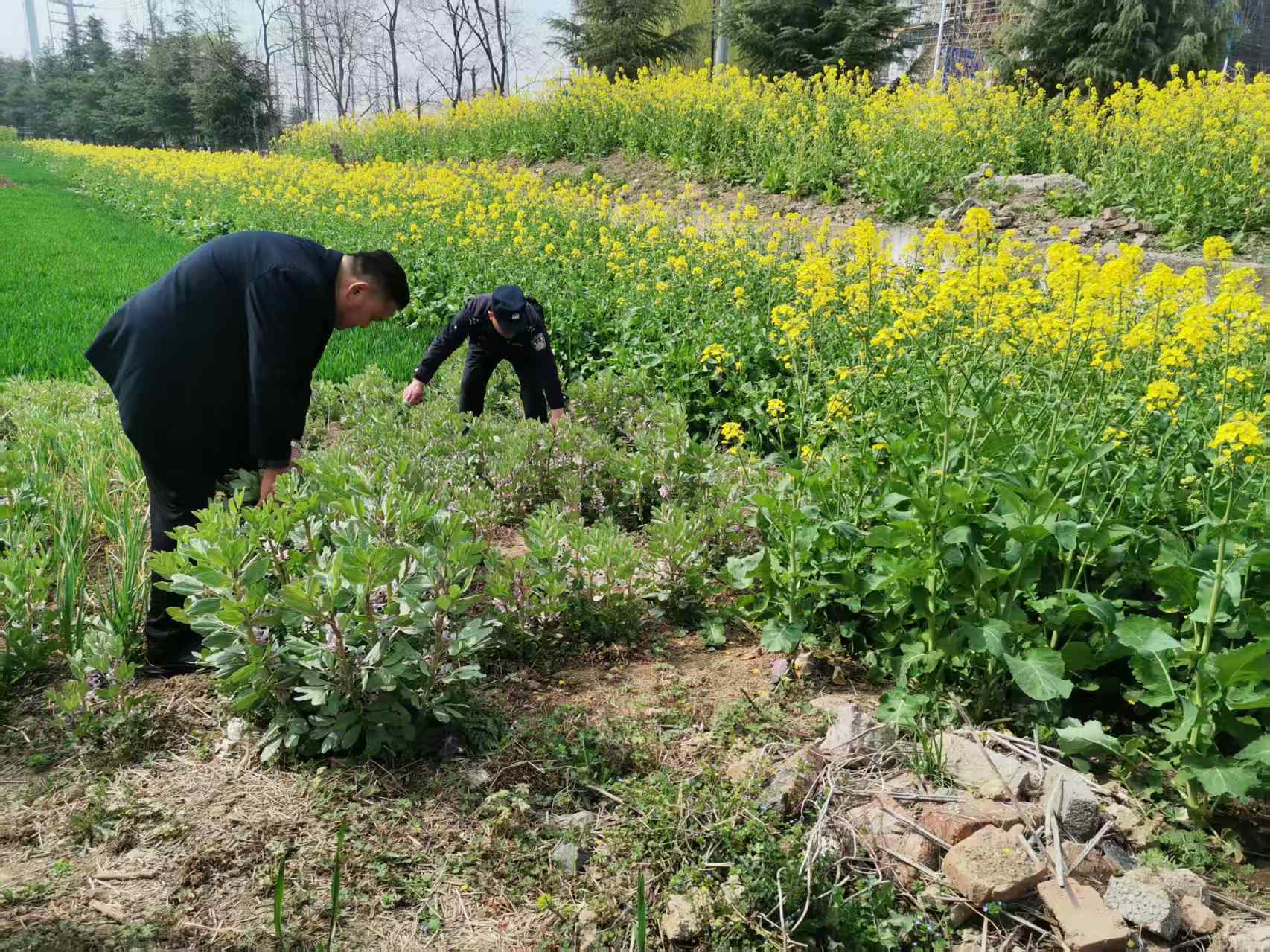 7e8c50ceeb997091a882756e4fd08a1e