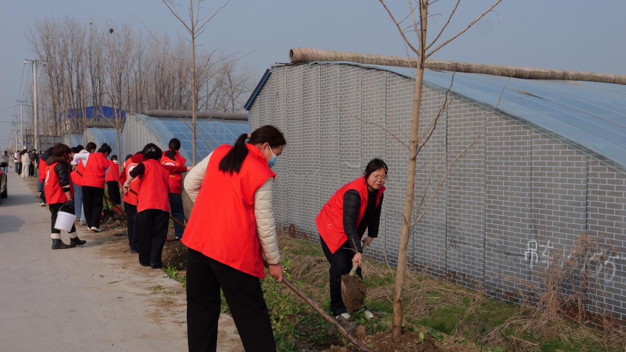 3922344c6614b710f12b9a92bab27062