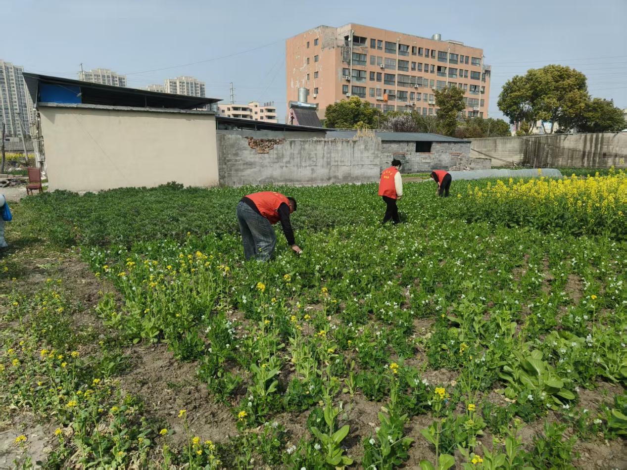 3f2c56452402f77b4a2e11ef53a5d5dc