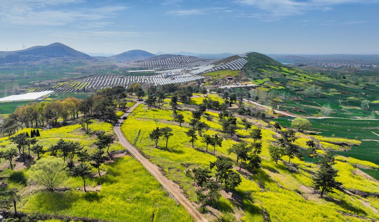 74433e5c89fe54060619e777e90316dc